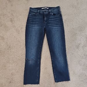 Hudson Jeans Size 25 Dark Blue Ankle Cropped Denim